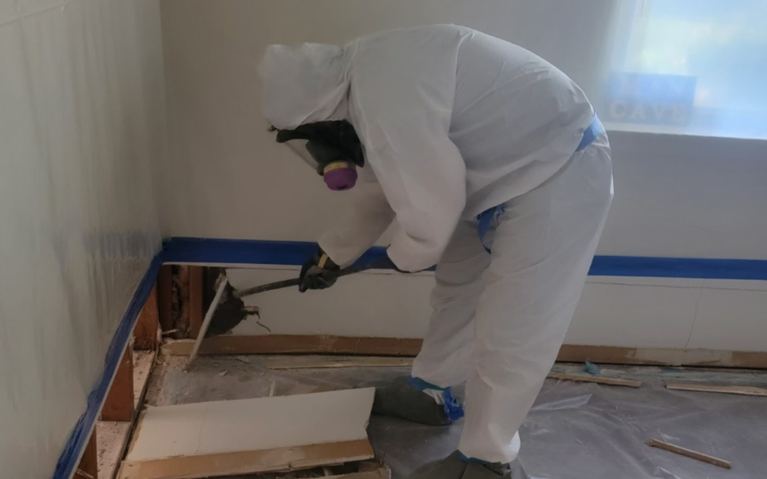 How Humidity Control Can Prevent Mold Growth